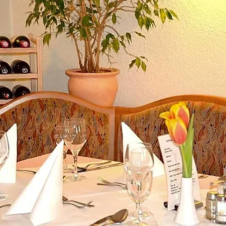 Hotel Wiesengrund *