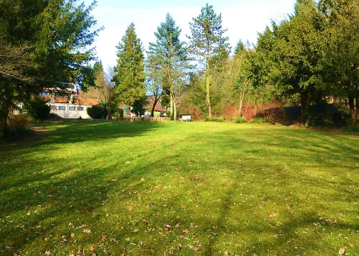 Wiesengrund Lindenfels